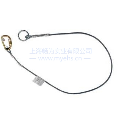 霍尼韋爾Honeywell(巴固)8187V/6FT 鋼纜錨點(diǎn)連接件